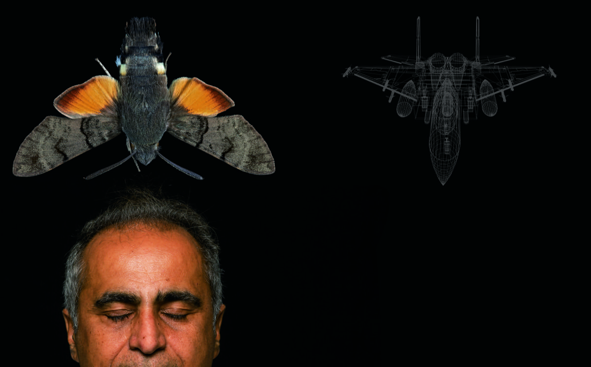 One of Tarokh’s interests is modeling how insects fly for potential application to airplane technology.