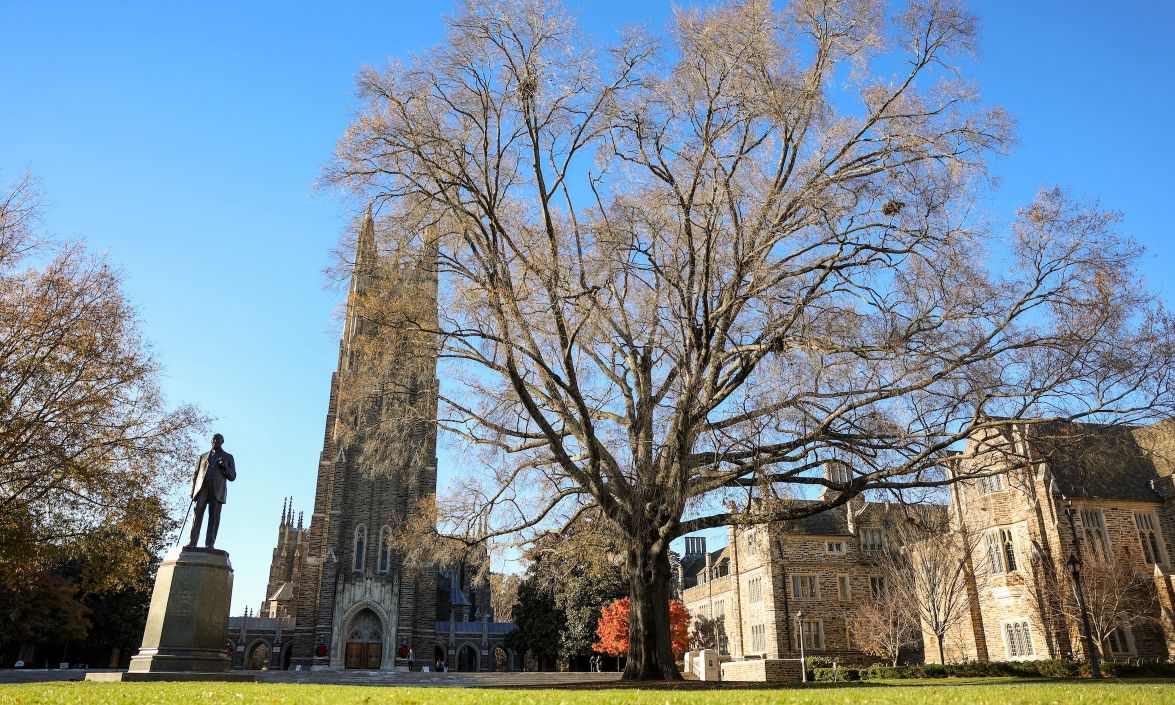 Tree removed from Abele Quad