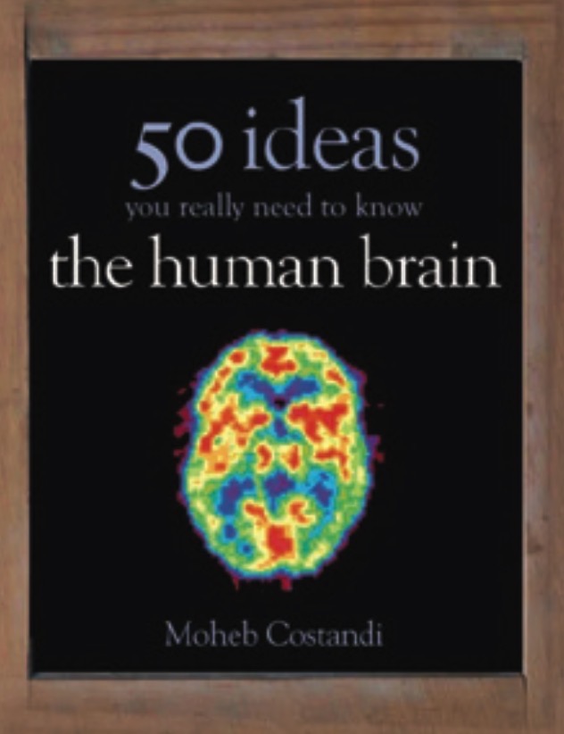 50 Human Brain Ideas You Really Need to Know, by Moheb Costandi