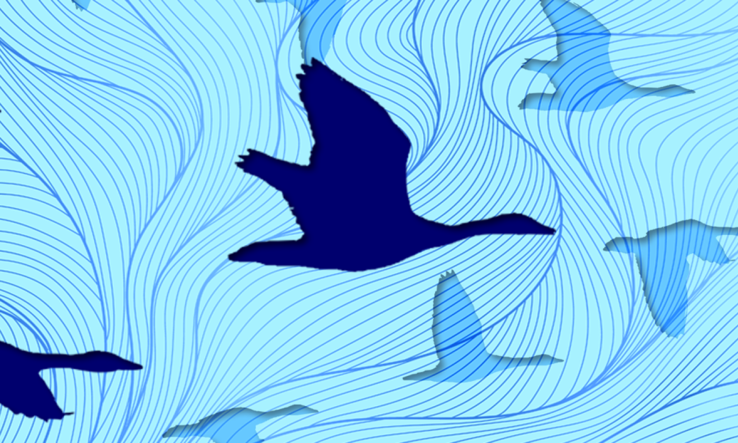Illustration of geese flying in formation